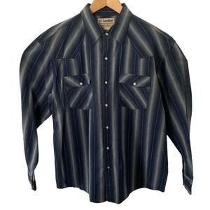 U.S. Expedition Western Pearl Snap Shirt Mens L Blue Striped Cotton